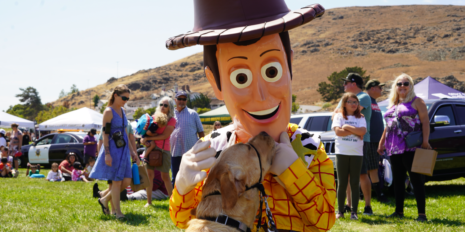 Sheriff Woody from Toy Story with Yellow Service Labrador