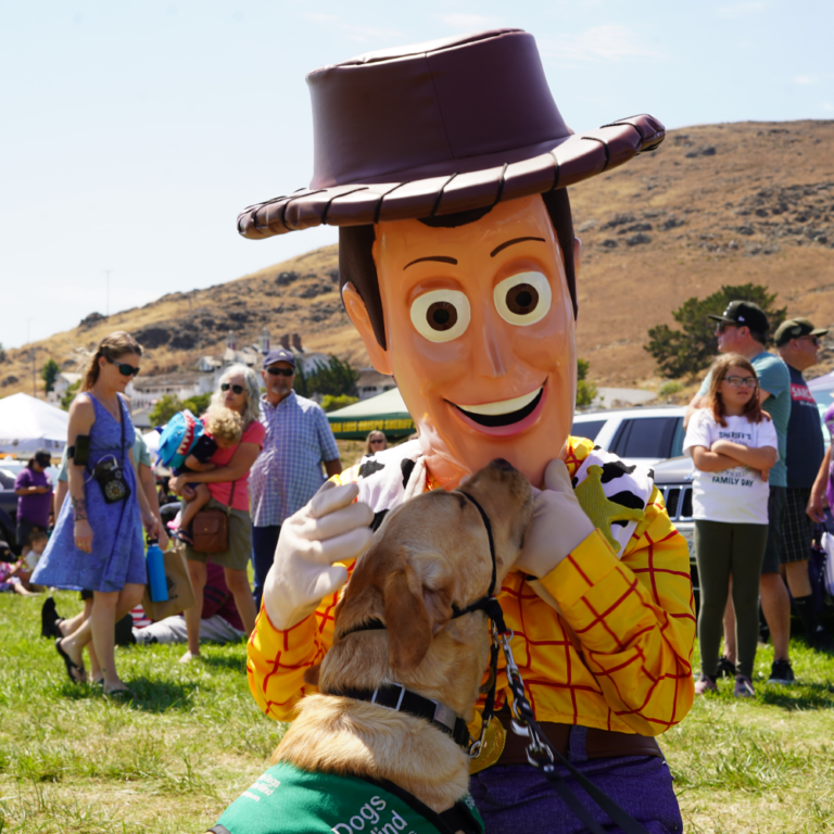 Sheriff Woody from Toy Story with Yellow Service Labrador