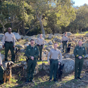 Sheriff Deputies and K9's Standing in Field
