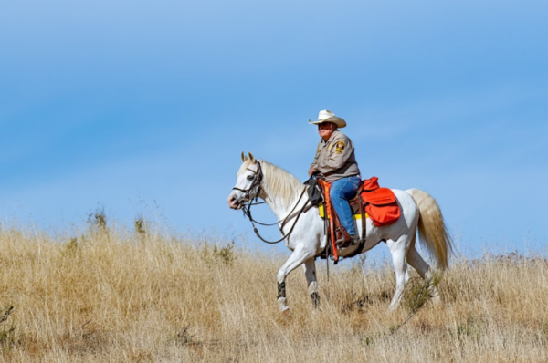 Man Riding White Horse Through Field