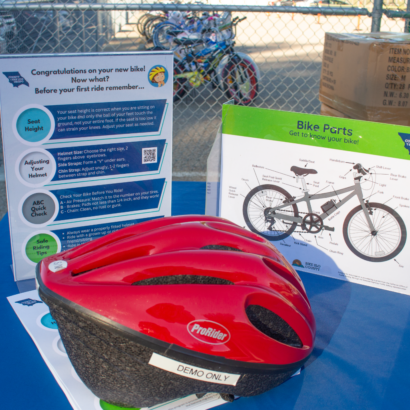 Bike Anatomy Chart and Demo Helmet